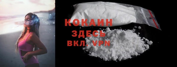 мет Арсеньев